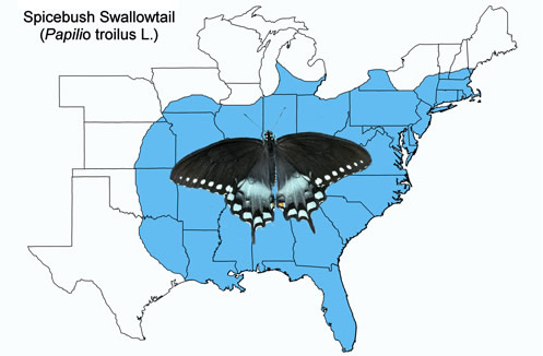 Spicebush swallowtail, Papilio troilus L., distribution map.