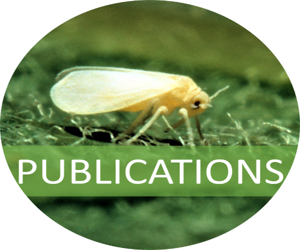 A sweet potato whitefly with a banner indicating that this image links to the publications page. Photo credit USDA.