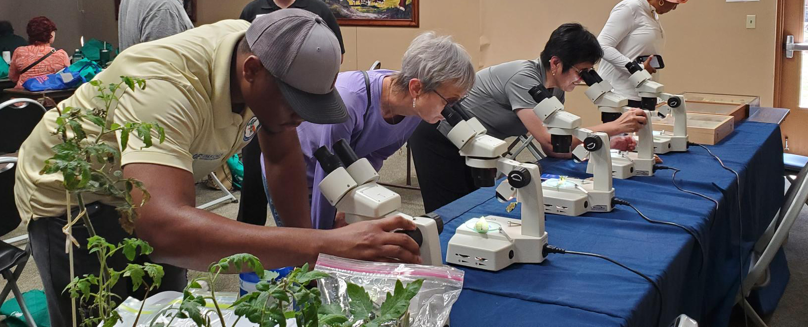 Three people looking through microscopes at workshop event