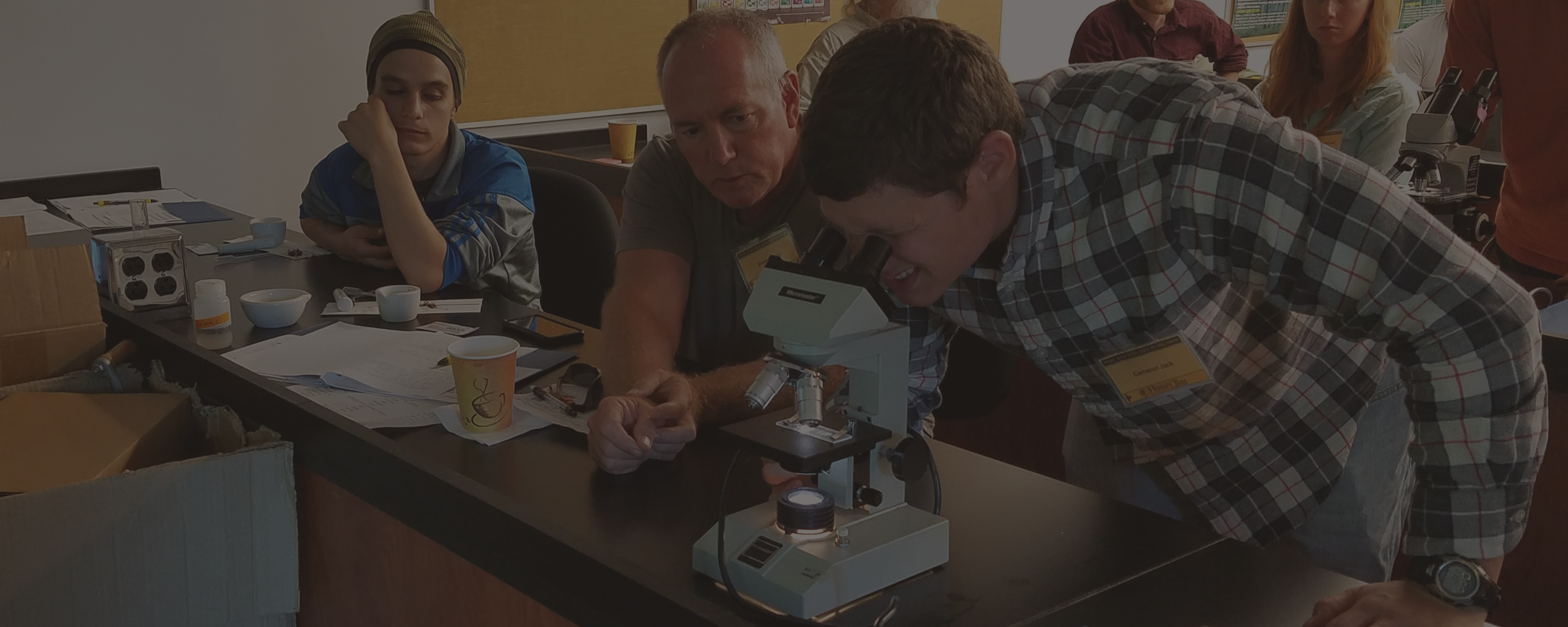 Students looking through a microscope