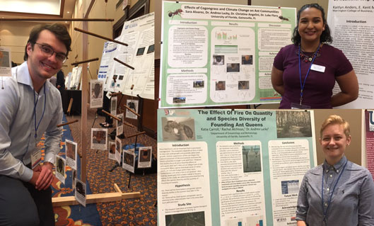 Entomology was well represented at the 2018 Undergraduate Research Symposium on March 22 in the J. Wayne Reitz Union Grand Ballroom.