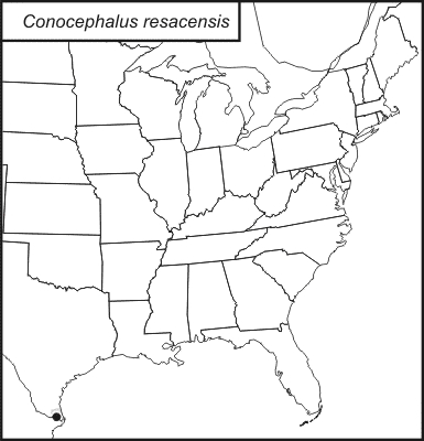 distribution map for Conocephalus resacensis