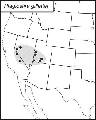 distribution map for Plagiostira gillettei