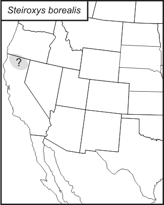 distribution map for Steiroxys borealis