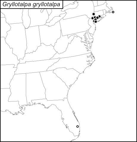 distribution map for Gryllotalpa gryllotalpa