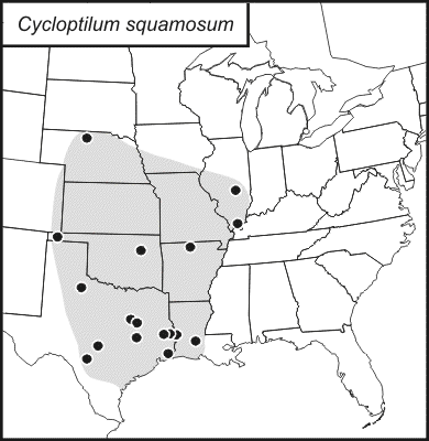 distribution map for Cycloptilum squamosum