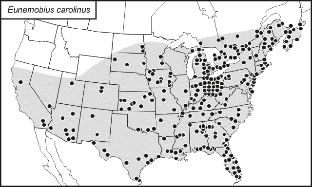 distribution map for Eunemobius carolinus