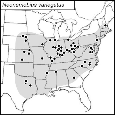 distribution map for Neonemobius variegatus