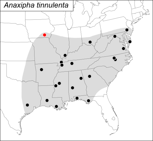distribution map for Anaxipha tinnulenta