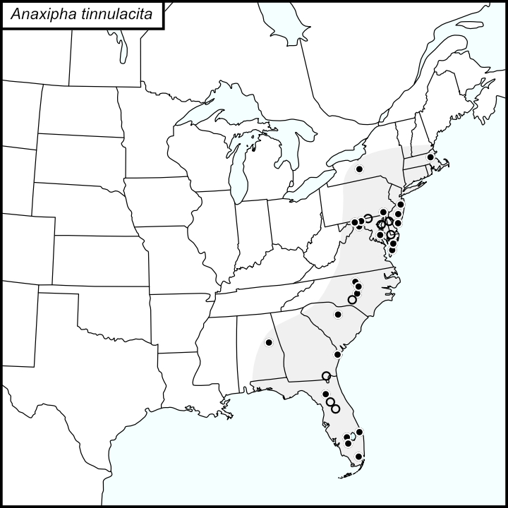 distribution map for Anaxipha tinnulacita