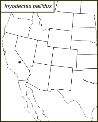 distribution map for Inyodectes pallidus