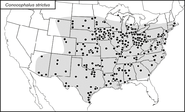 distribution map for Conocephalus strictus