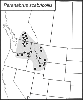 distribution map for Peranabrus scabricollis