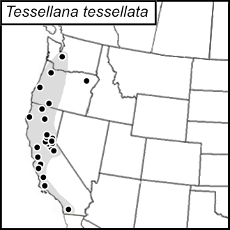 distribution map for Tessellana tessellata