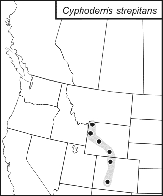 distribution map for Cyphoderris strepitans