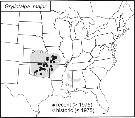 distribution map for Gryllotalpa major