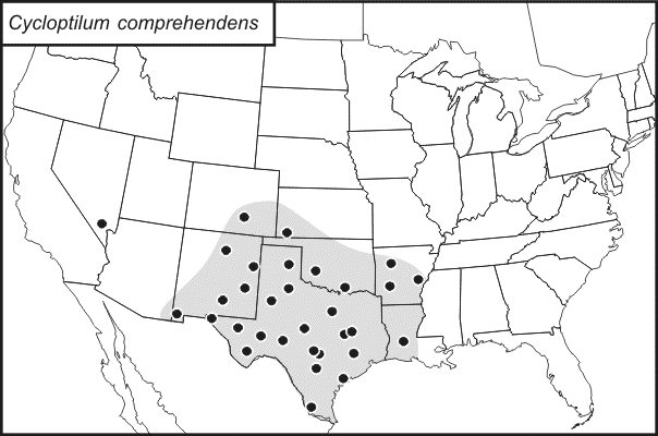 distribution map for Cycloptilum comprehendens
