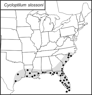 distribution map for Cycloptilum slossoni