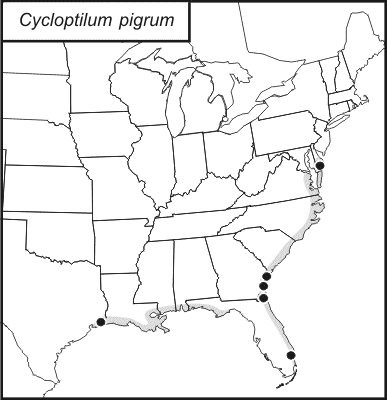 distribution map for Cycloptilum pigrum