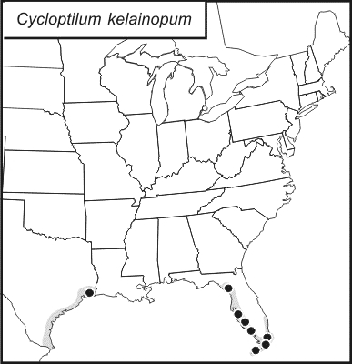 distribution map for Cycloptilum kelainopum
