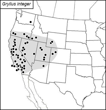 distribution map for Gryllus integer