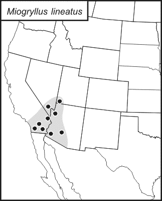 distribution map for miogryllus lineatus