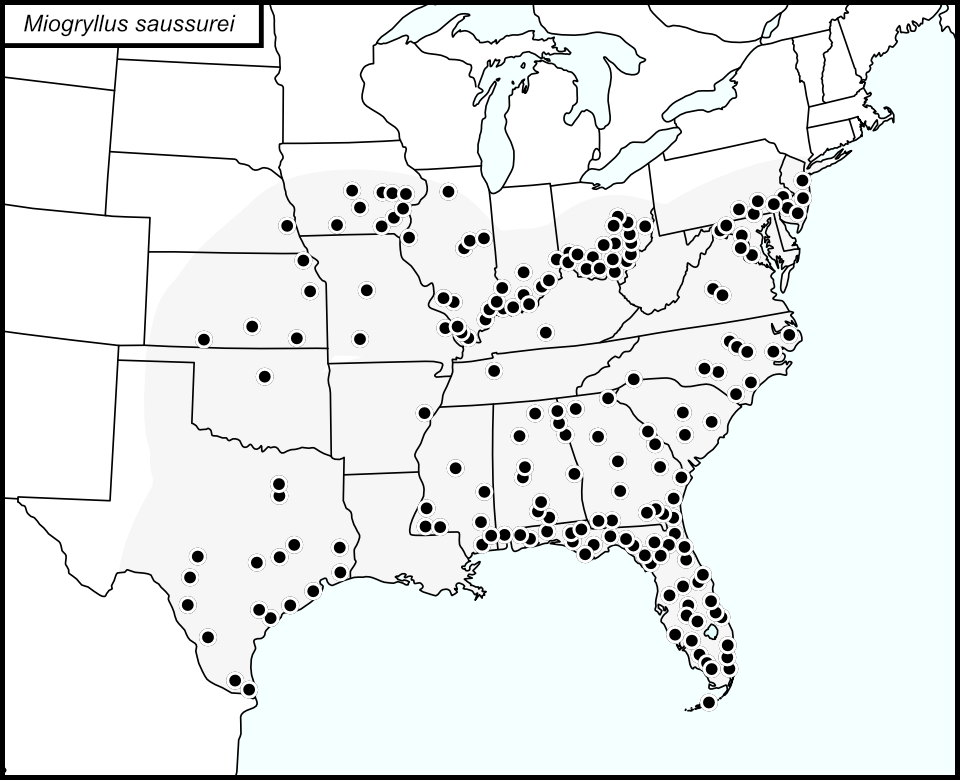 distribution map for Miogryllus saussurei