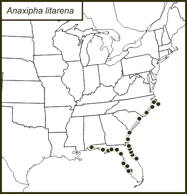 distribution map for Anaxipha litarena