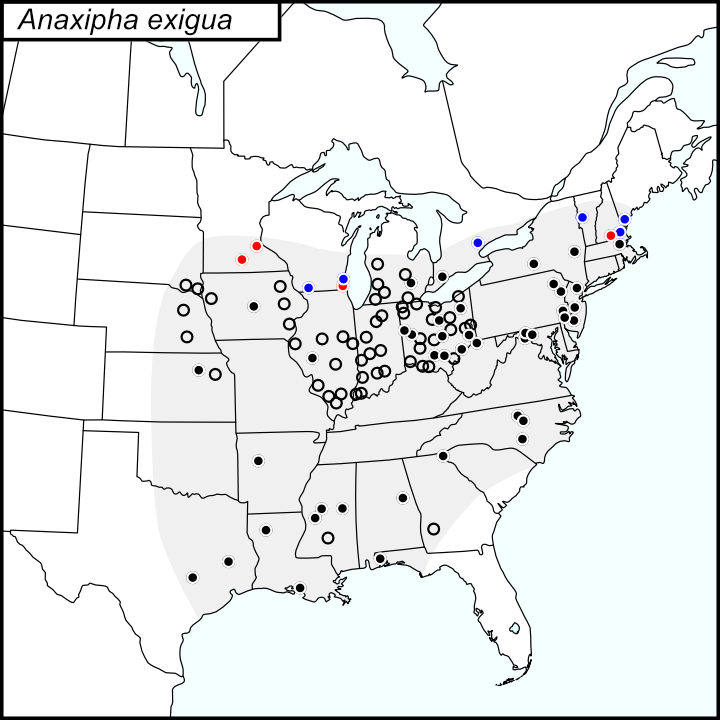 distribution map for Anaxipha exigua