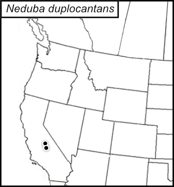 distribution map for Neduba duplocantans