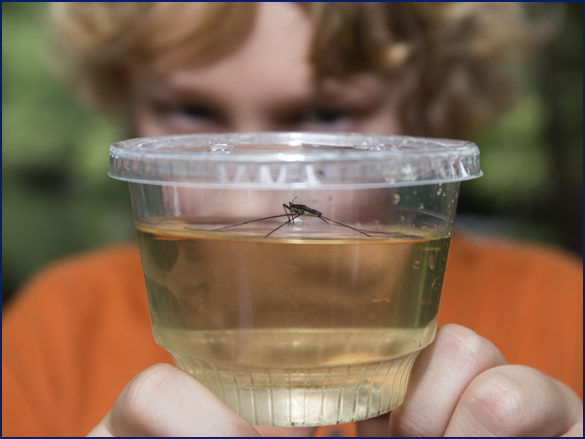 boy with water sample at an outreach event