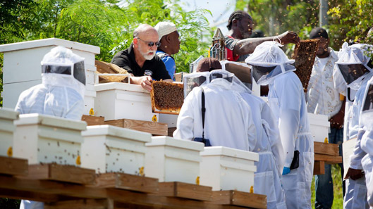 The first Caribbean Bee College 