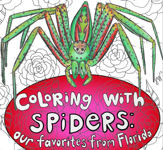 The Taylor lab has released another spider-themed coloring book