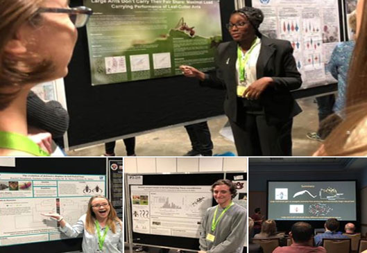 Novel weapons, social networks, weight lifting, and surprising coloration: current and former Miller lab members did a great job representing UF! Above are Ebony Taylor, Rachel Shepherd, Robert Entzian, and Ummat Somjee.