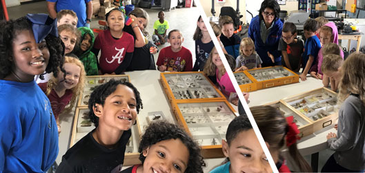 On October 26, 2018, 96 students from the Bagdad Elementary School visit West Florida Research and Education Center, Jay, Florida. They had an opportunity to learn from Dr. Paula-Moraes what an bug doctor does. They also had examples of the roles played by different groups of insects in nature in the presentation: The bad and the good bugs. 