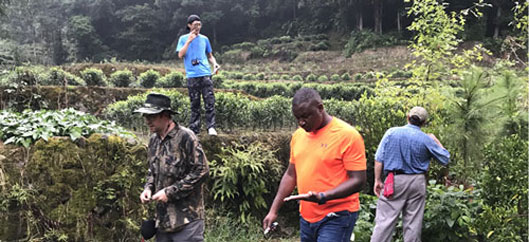 Pre-invasion assessment of wood borers in a sentinel garden in the Fujian province: Dr. Li You (postdoc), A. Simon Ernstons (graduate student), Dr. Leroy Whilby (DPI) and Dr. Paul Skelley (DPI).