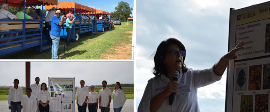On August 22, the Entomology Lab team at West Florida Research and Education Center participated in the Annual Extension Farm Field Day in Jay, FL