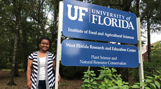 Izailda dos Santos Barbosa is the new Ph.D. student at West Florida Research and Education Center. She has just graduated in Auburn University and will be working with Dr. Paula-Moraes.