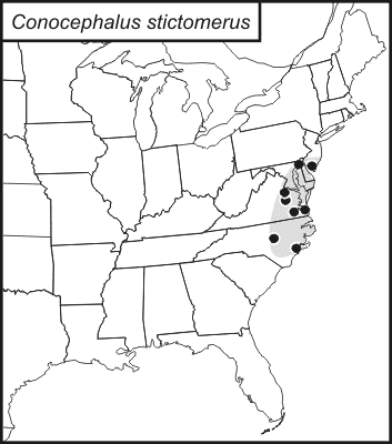 distribution map for Conocephalus stictomerus