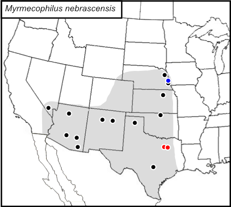 distribution map for Myrmecophilus nebrascensis