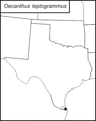 distribution map for Oecanthus leptogrammus
