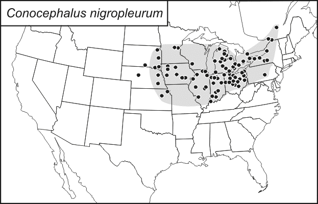 distribution map for Conocephalus nigropleurum