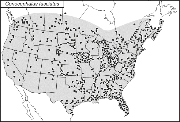 distribution map for Conocephalus fasciatus