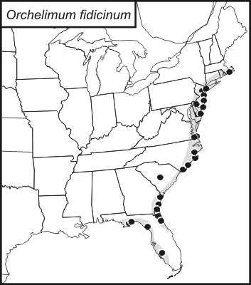 distribution map for Orchelimum fidicinium
