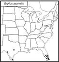SINA map for Gryllus assimilis