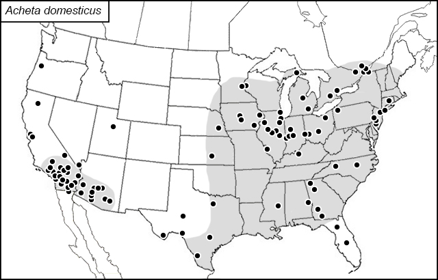 distribution map for Acheta domesticus
